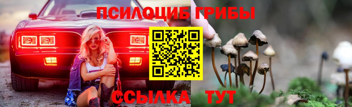 Псилоцибиновые грибы Psilocybe  Галлюциногенные грибы Cubensis  Избербаш  Вход с VPN 